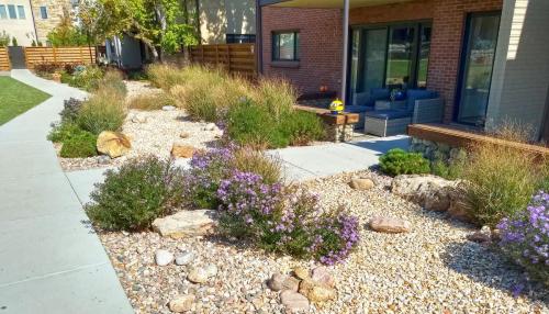 Dry Stream Bed 02