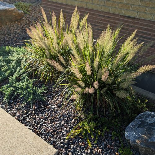 PXL_20250917_141100176